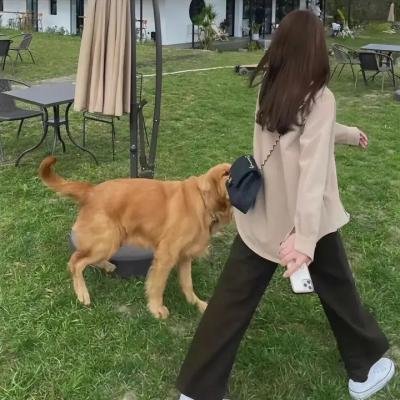 完美父母